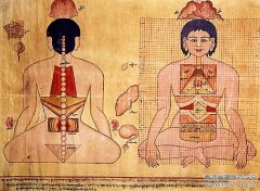 藏医诊断疾病的方法