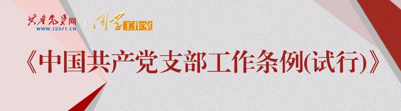 《中国共产党支部工作条例（试行）》学习问答 16. 社会组织党支部的重点任务是什么？