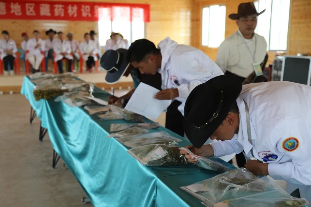 1736907108325908.jpg 640.webp (22).jpg