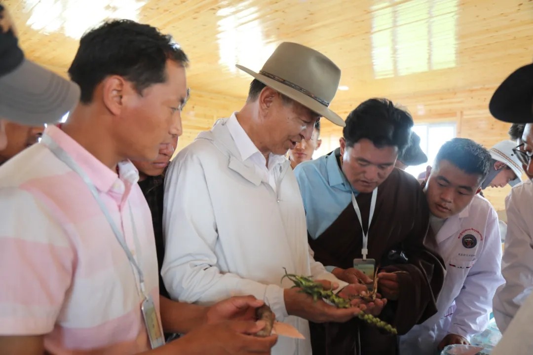 1736907125748440.jpg 640.webp (23).jpg