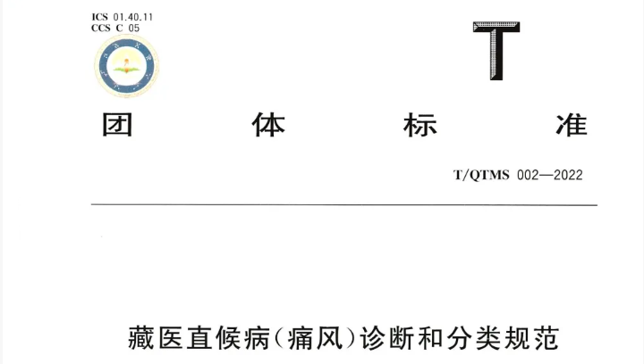 T/QTMS 002—2022《藏医直候病（痛风）诊断和分类规范》