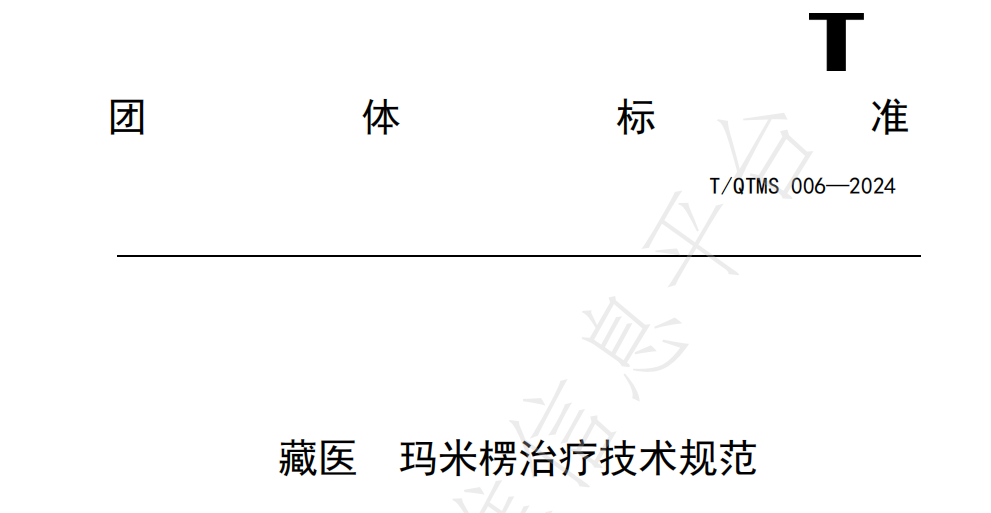 T/QTMS 006—2025《藏医 玛米楞治疗技术规范》