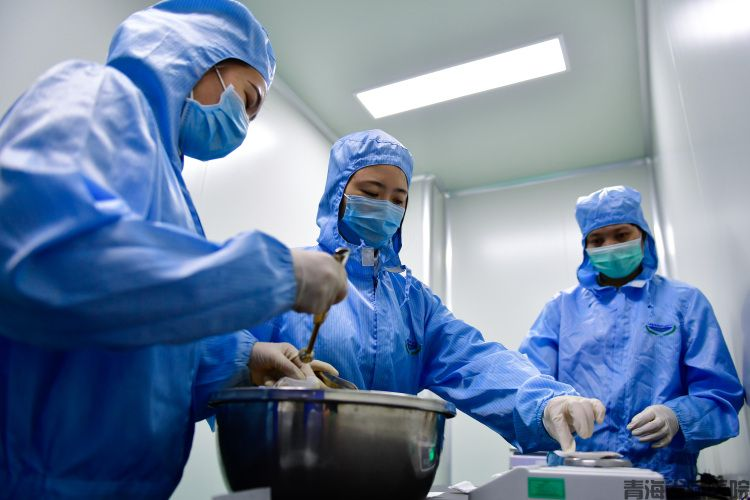制剂研究基地