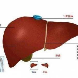 青海省藏医院肝胆科